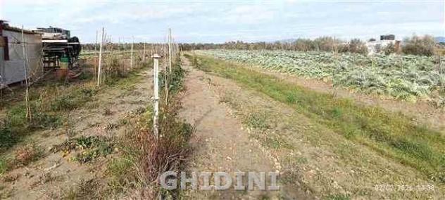 RUSTICO di 2 vani e di 130 mq (GROSSETO - POGGIALE) rif. 2537.28M - Foto 14