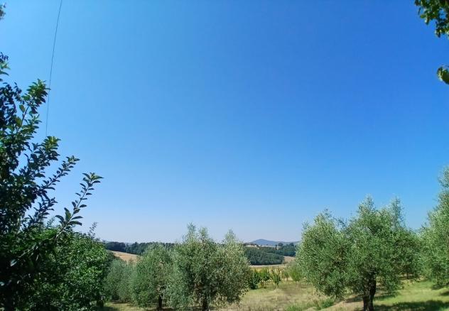 Rustico in vendita a Montecastrilli - Foto 6