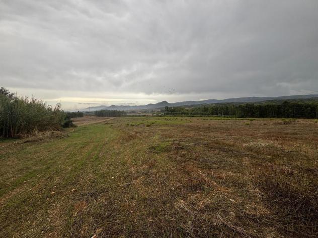 Terreno Agricolo - Villamassargia . Rif.: Cod. rif 3281097VRG - Foto 3