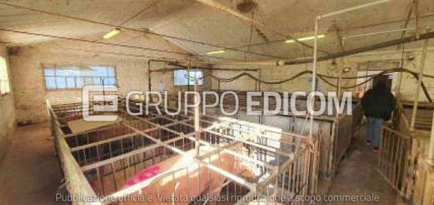 Fabbricato rurale in vendita a Castrocaro Terme e Terra del Sole - Rif. 4548506 - Foto 3