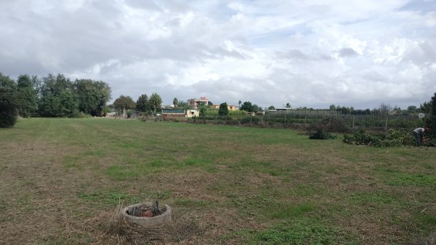Terreno - Foto 2