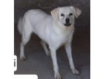 BRICIOLA 14 ANNI