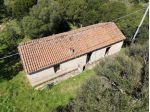 Casale in vendita a Luogosanto 78 mq  Rif: 1383998