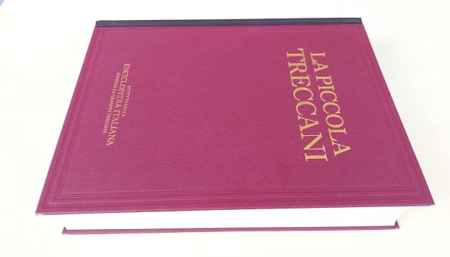 La Piccola Treccani VI INTERF-MAE Dizionario enciclopedico Ed.Treccani,Roma 1995 - Foto 2