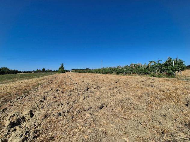 Terreno agricolo in vendita a Fucecchio 1500 mq Rif: 1339884 - Foto 6