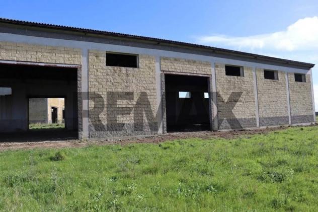 Commerciale Altro in vendita a Ragusa, Bruscé - Foto 4