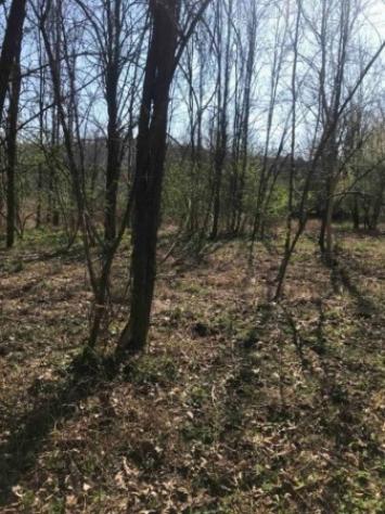 Immobile in asta di 18050 m² in vendita a Poggibonsi - Foto 3