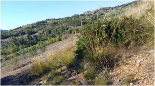 Immobile in asta di 6415 m² in vendita a Serrenti - Foto 3