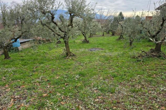 Terreno di 6110 m² in vendita a Velletri - Foto 2