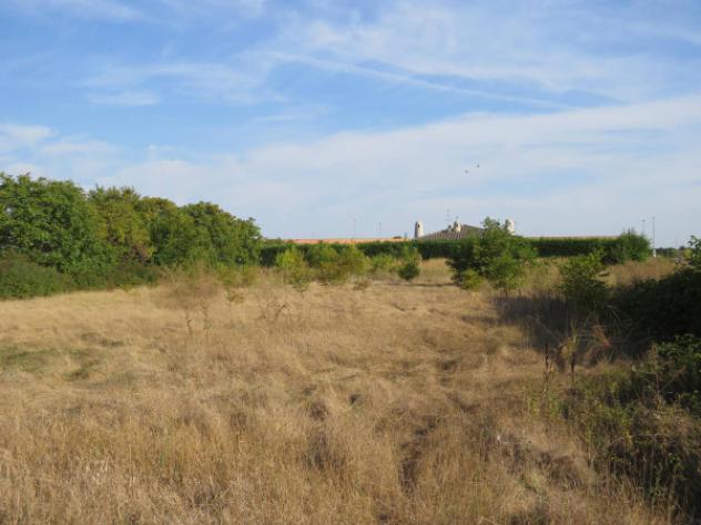 Immobile in asta di 955 m², box auto in vendita a Sanguinetto - Foto 7