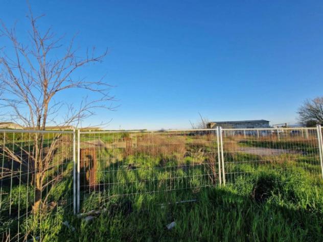 Immobile in asta di 15779 m² in vendita a Meldola - Foto 14