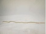 84BGF290A37AA2AD MODANATURA STRISCIA ADESIVA LATERALE DESTRA FORD FIESTA 1. &hellip;