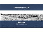 Immobile in asta di 61360 m² in vendita a Campomarino