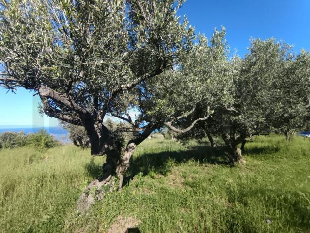 RUSTICO di 1 vani e di 30 mq (MESSINA) rif. 3VS17811 - Foto 2