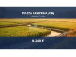 Immobile in asta di 30860 m² in vendita a Piazza Armerina