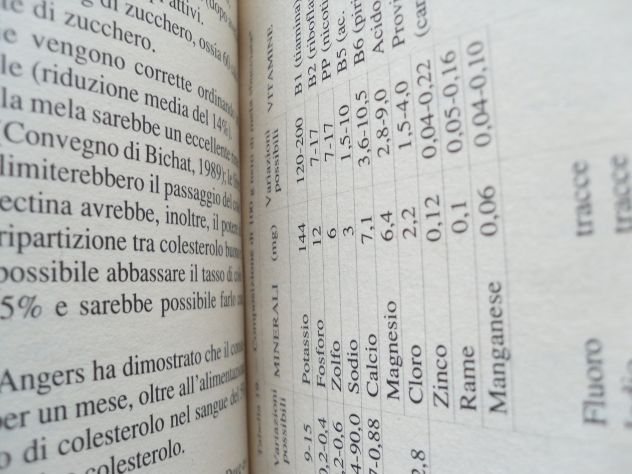 CAMBIAMO LA NOSTRA ALIMENTAZIONE PER PERVENIRE IL CANCRO .- - Foto 4