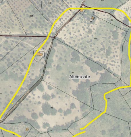 Vendesi azienda agricola biologica con uliveto, querce e casale – Altomonte (CS)