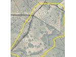 Vendesi azienda agricola biologica con uliveto, querce e casale – Altomonte (CS)