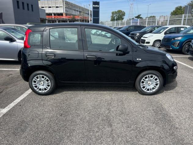 FIAT Panda 1.0 FireFly 70cv S&S Hybrid Pandina - Foto 5