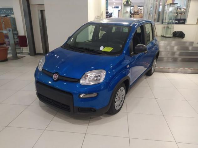 FIAT Panda 1.0 FireFly S&S Hybrid rif. 20346883