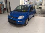 FIAT Panda 1.0 FireFly S&S Hybrid rif. 20346883