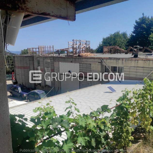 Terreno di 348 mq in vendita a Cotronei - Rif. 4545792 - Foto 2