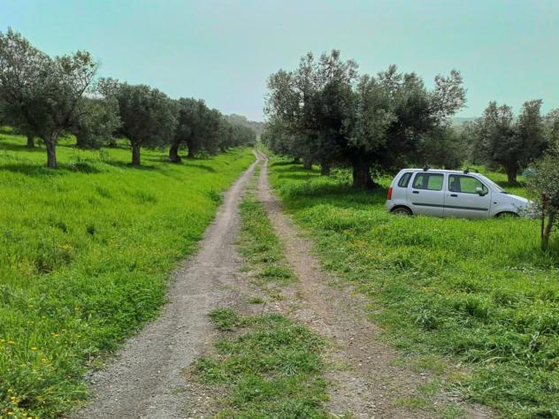 Agricolo in Via Casale dell'Oliveto - Foto 3