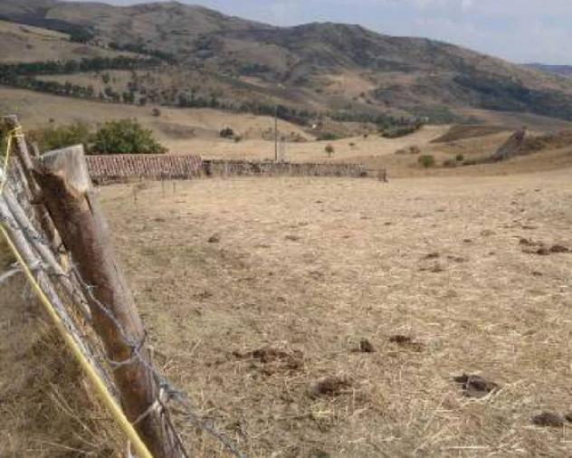 Immobile in asta di 31100 m² in vendita a Troina - Foto 5
