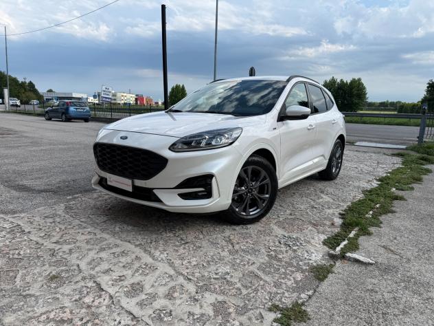 Ford Kuga 1.5 EcoBlue 120 CV aut. 2WD ST-Line X