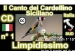 Cd canto del cardellino siciliano o su USB