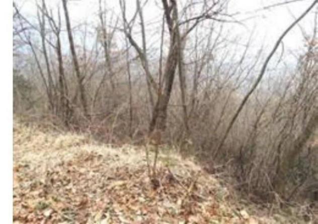 Immobile in asta di 133870 m² in vendita a Nimis - Foto 2