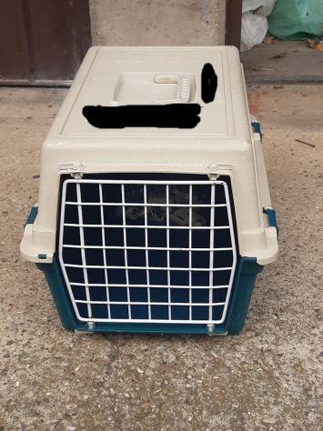 Trasportino gatto