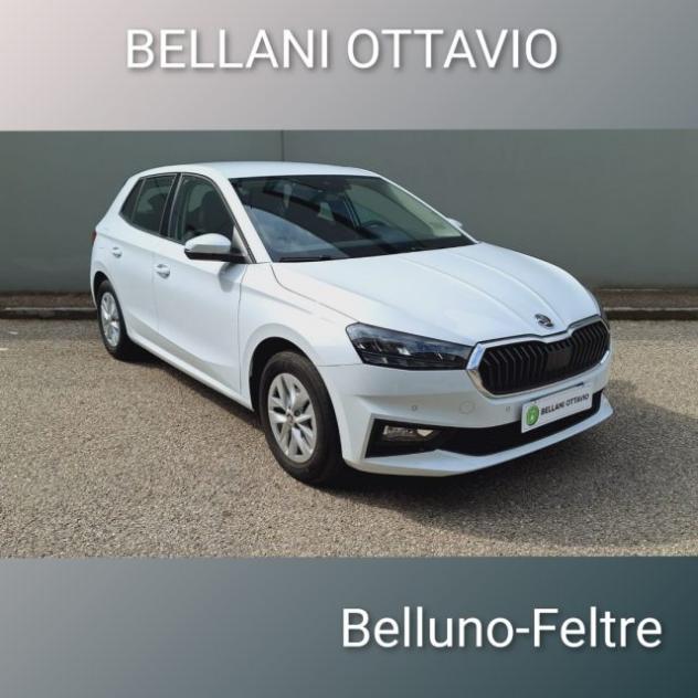 SKODA Fabia 1.0 MPI EVO 80 CV Ambition rif. 22074271