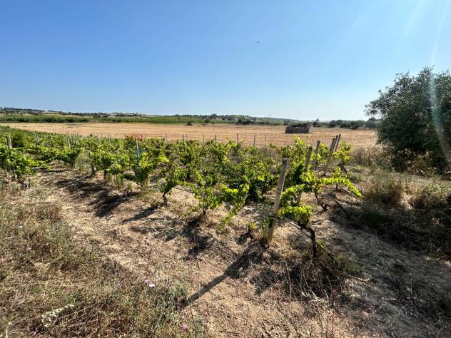 Terreno in vendita a Noto - Foto 8