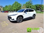 MG HS HEV Luxury PLUG-IN rif. 23742454
