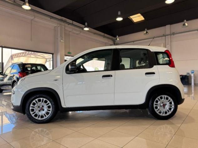 FIAT Panda 1.0 FireFly S&S Hybrid PREZZO REALE 5 POSTI rif. 23811877 - Foto 2
