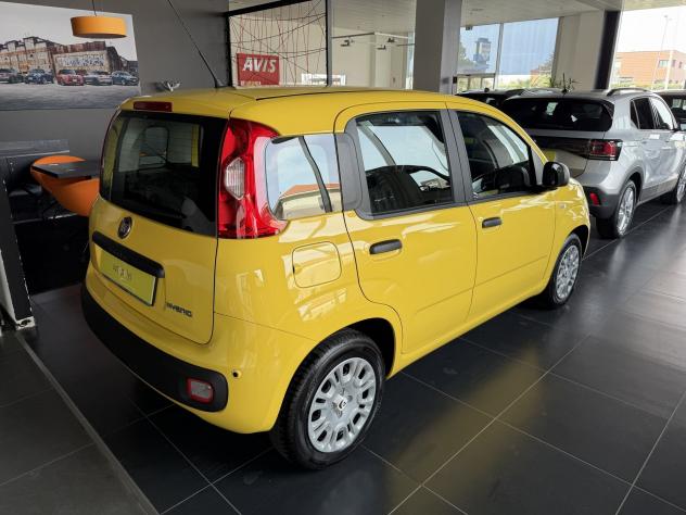 FIAT Pandina 1.0 FireFly 65cv S&S 6m Hybrid Pop - Foto 3