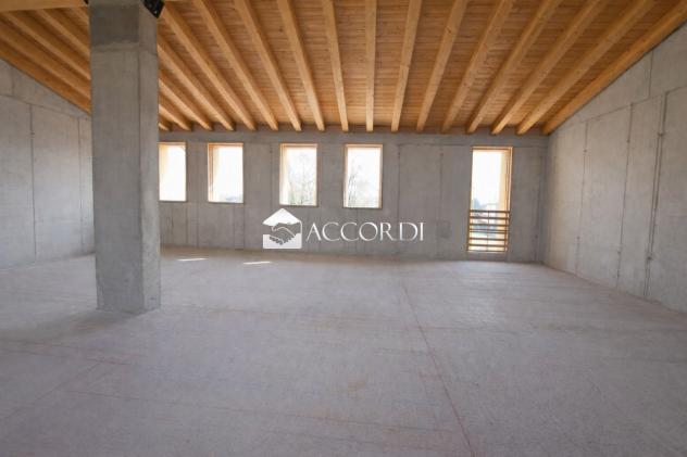 CASA INDIPENDENTE di 4 vani e di 243 mq (NERVESA DELLA BATTAGLIA) rif. PE5 - Foto 12