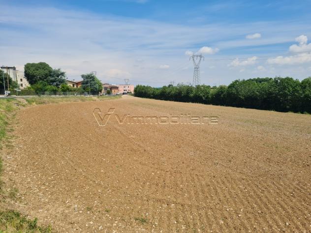 Seminativo in vendita a Albettone - Foto 6