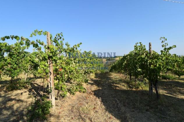 PROPRIETA' BRISIGHELLA - VIA LODOLONE 29 - Foto 13