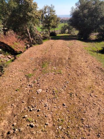 Terreno in vendita a Francofonte - Foto 16