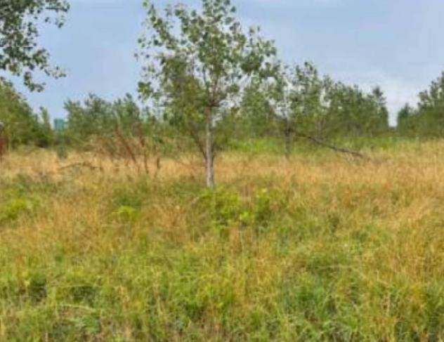 Immobile in asta di 32085 m² in vendita a Portogruaro - Foto 2