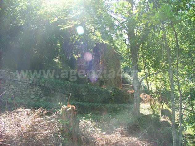 Rustico di frantoio ad acqua con giardino. - Foto 16