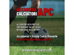 Cerchiamo Allenatori di Calcio per Accademia Calciatori a Milano