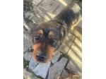 Kelly