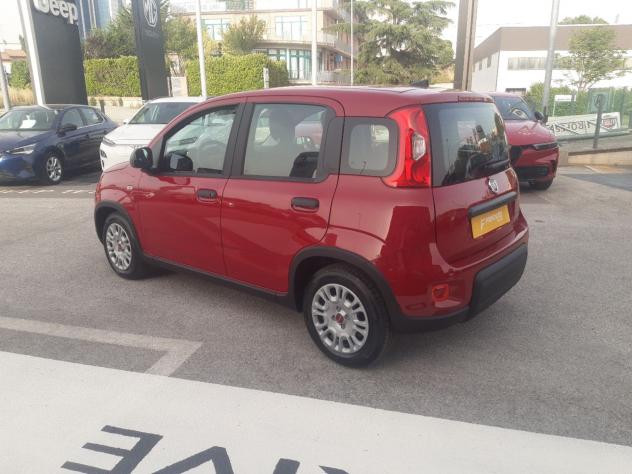 FIAT Panda 1.0 FireFly S&S Hybrid - Foto 3