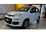 FIAT Panda 1.3 MJT S&S Pop rif. 24162615