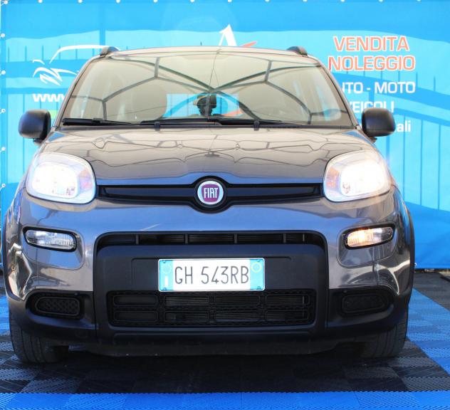 Fiat Panda 1.0 FireFly S&S Hybrid - Foto 2