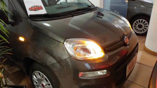 Fiat Panda 1