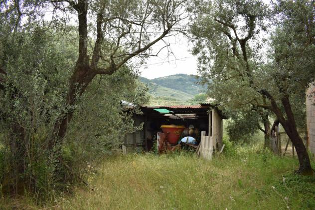 TERRATETTO di 7 vani e di 390 mq (LARCIANO - Cecina di Larciano) rif. L 140 - Foto 13